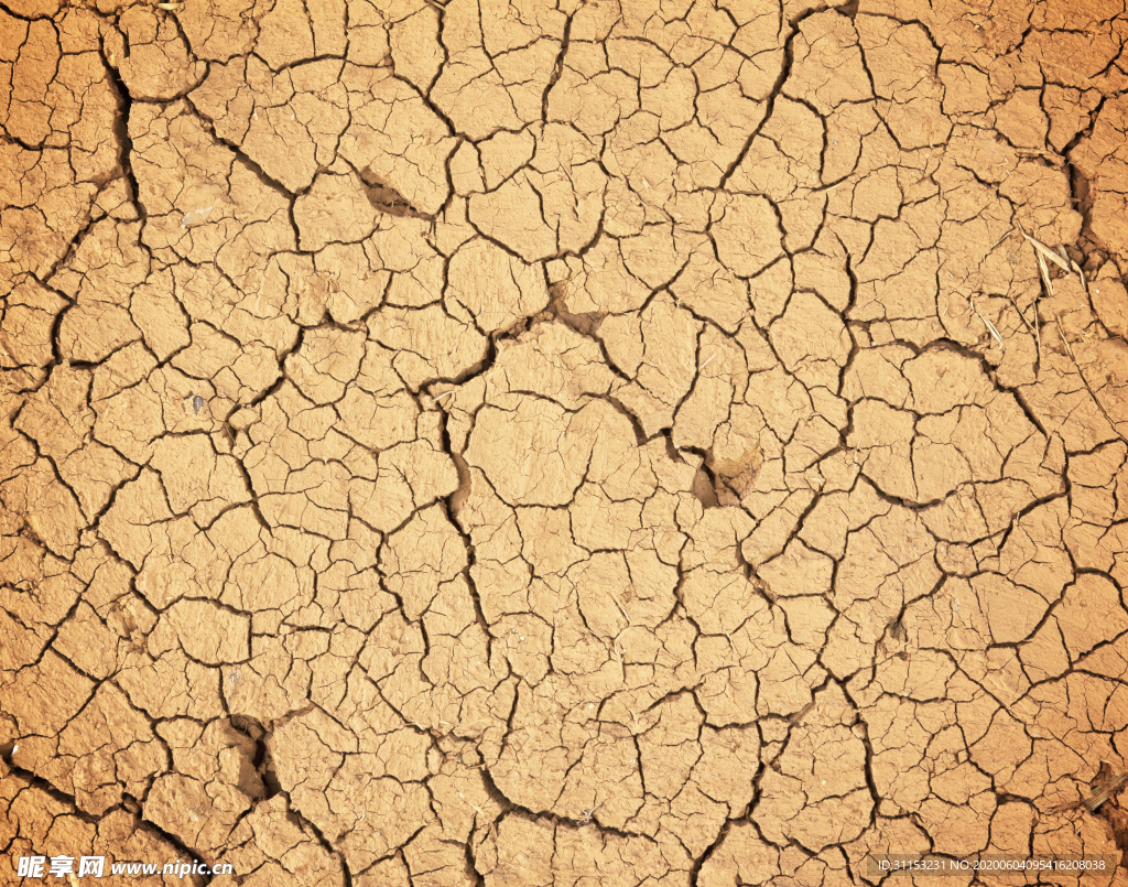 干旱土地