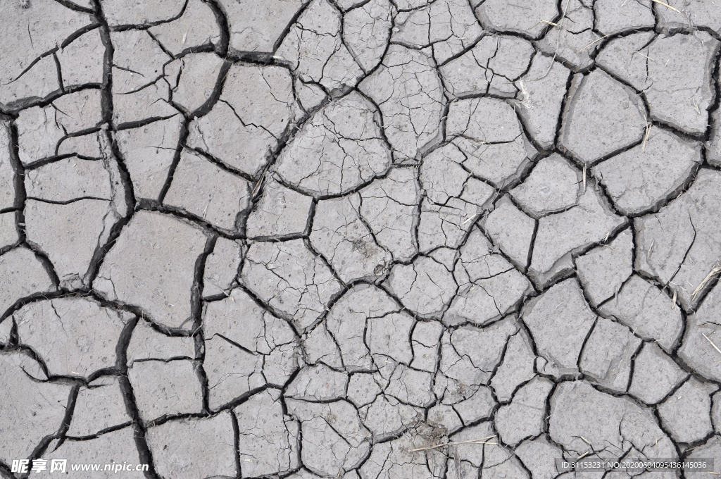 干旱土地