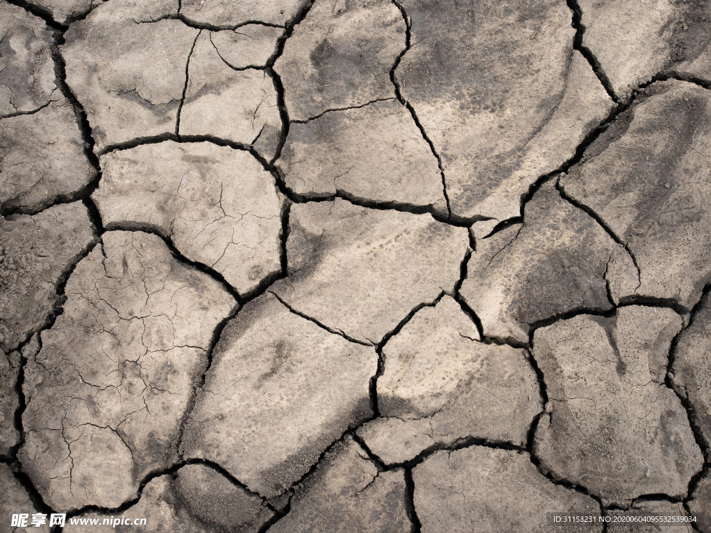 干旱土地