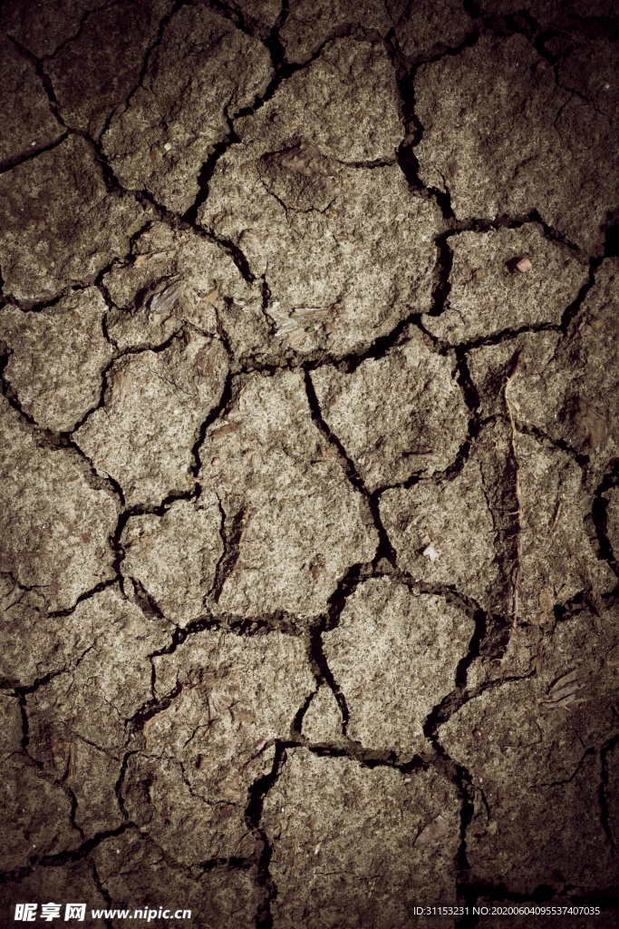 干旱土地