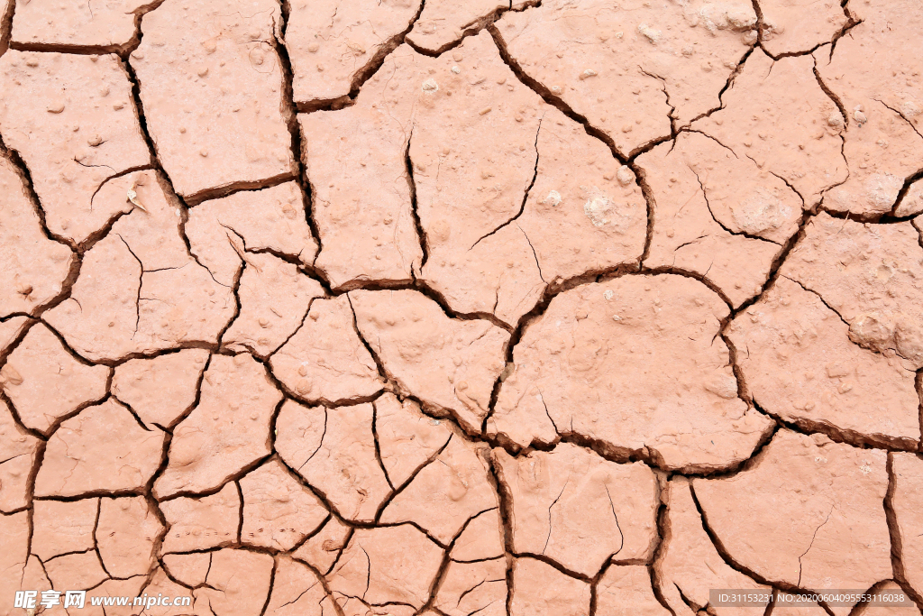 干旱土地