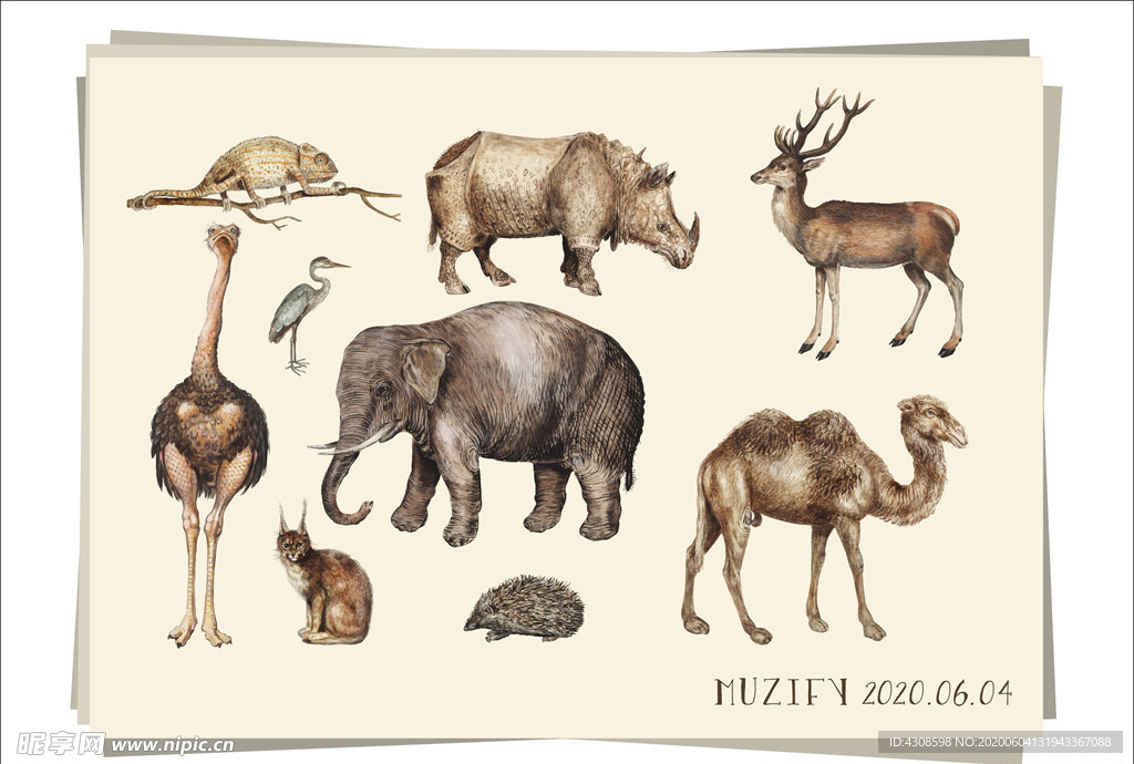 9款入野生动物图鉴