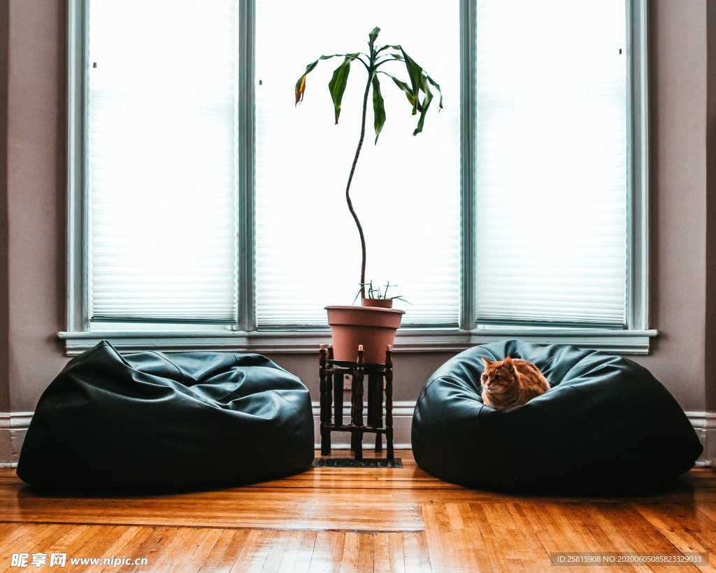 客厅装修效果样式图片