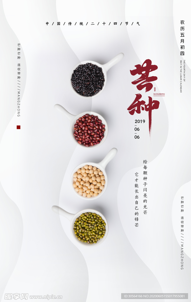 芒种传统简洁节气海报展板