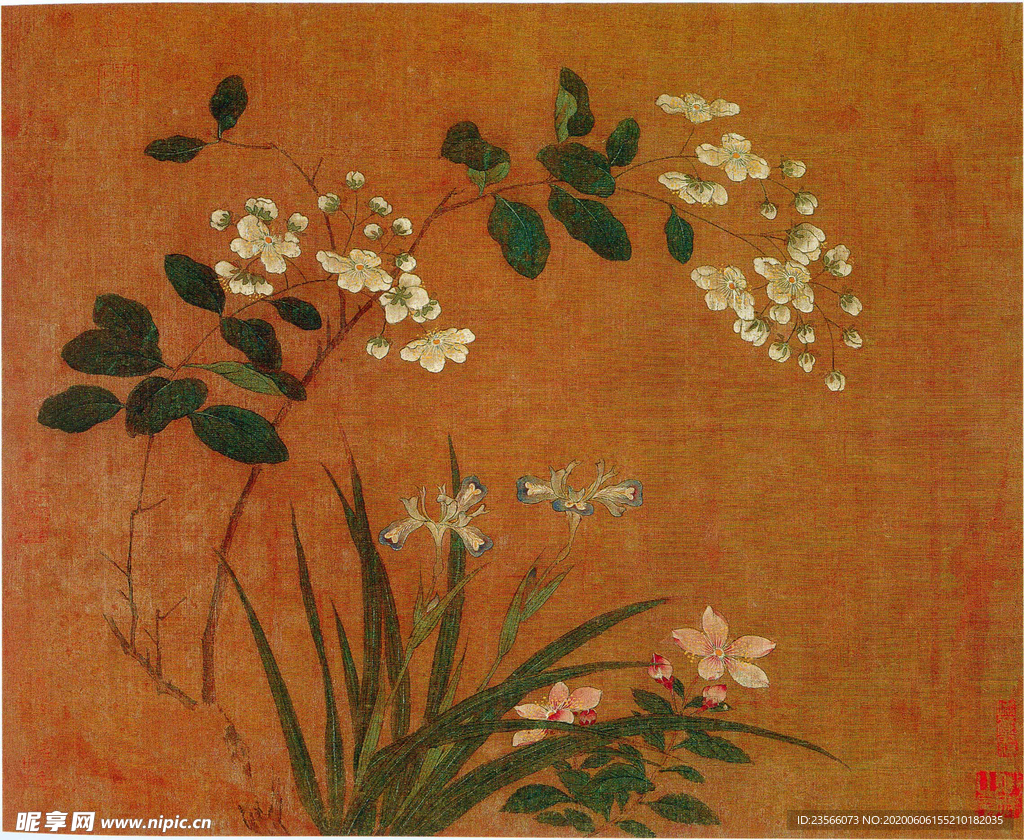 黄居寀花卉写生绘画