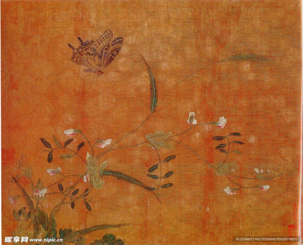 黄居寀花卉写生绘画