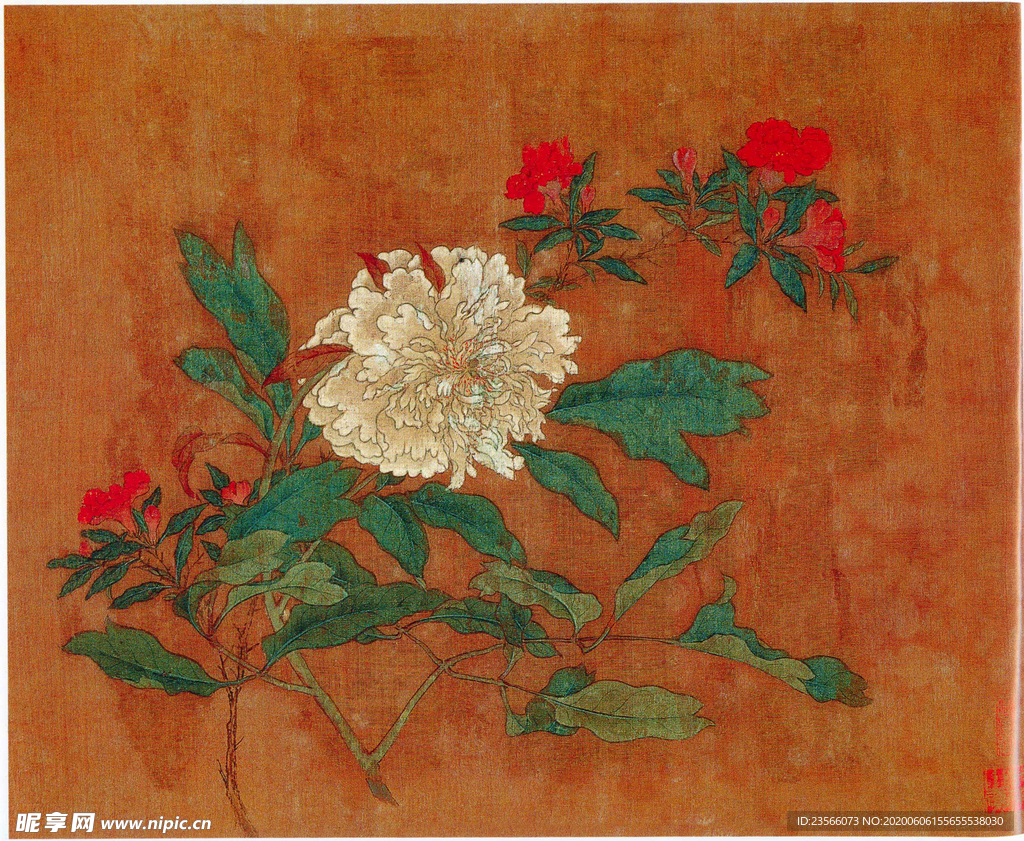 黄居寀花卉写生绘画