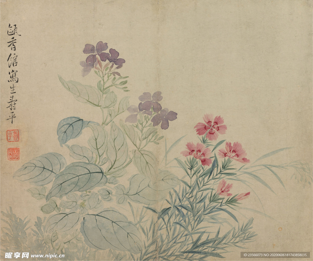 清代恽寿平花草绘画