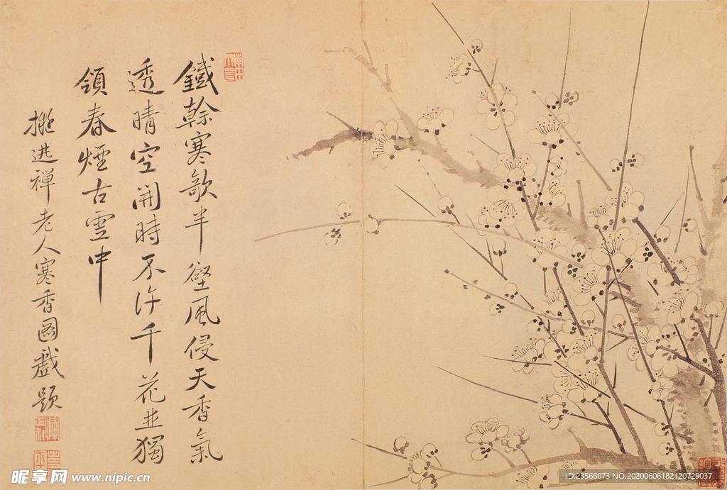 清代恽寿平花草绘画