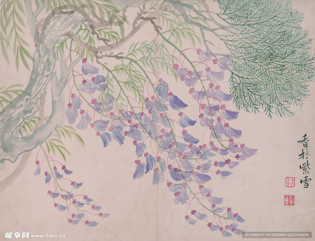 清代恽寿平花草绘画