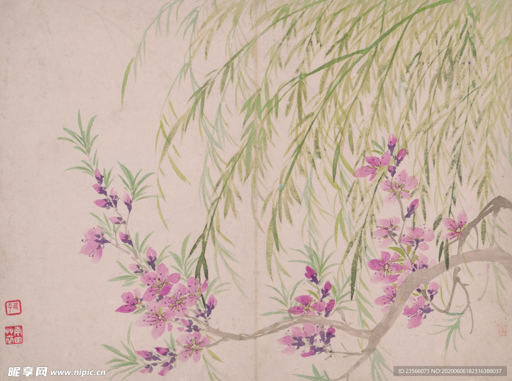 清代恽寿平花草绘画