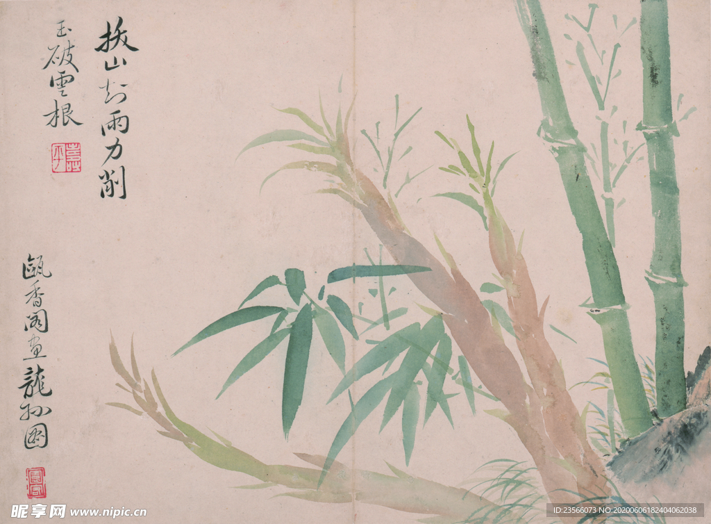 清代恽寿平花草绘画