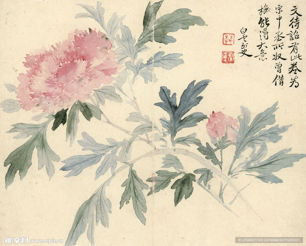 清代恽寿平花草绘画