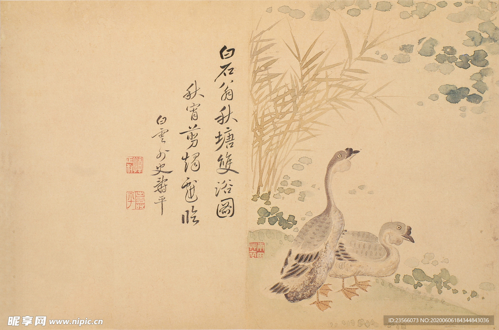 清代恽寿平花草绘画