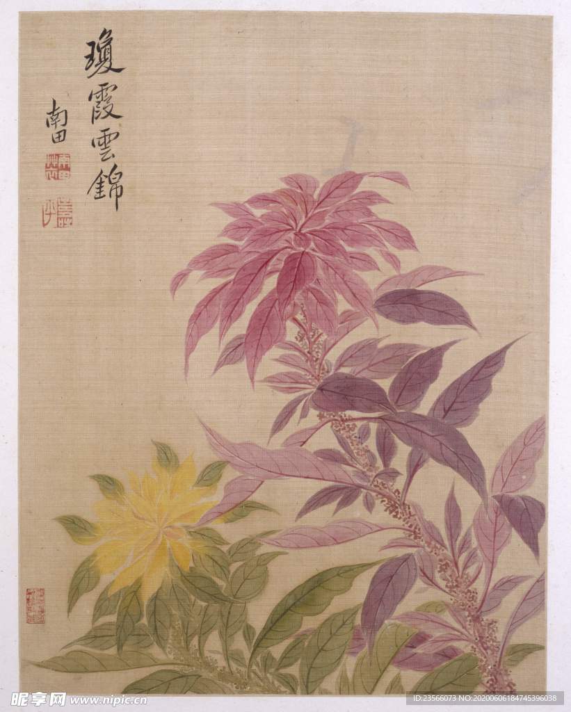 清代恽寿平花草绘画