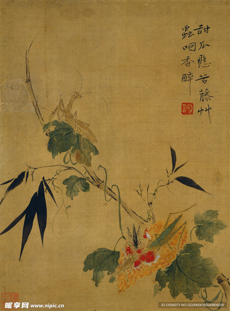 清代恽寿平花草绘画