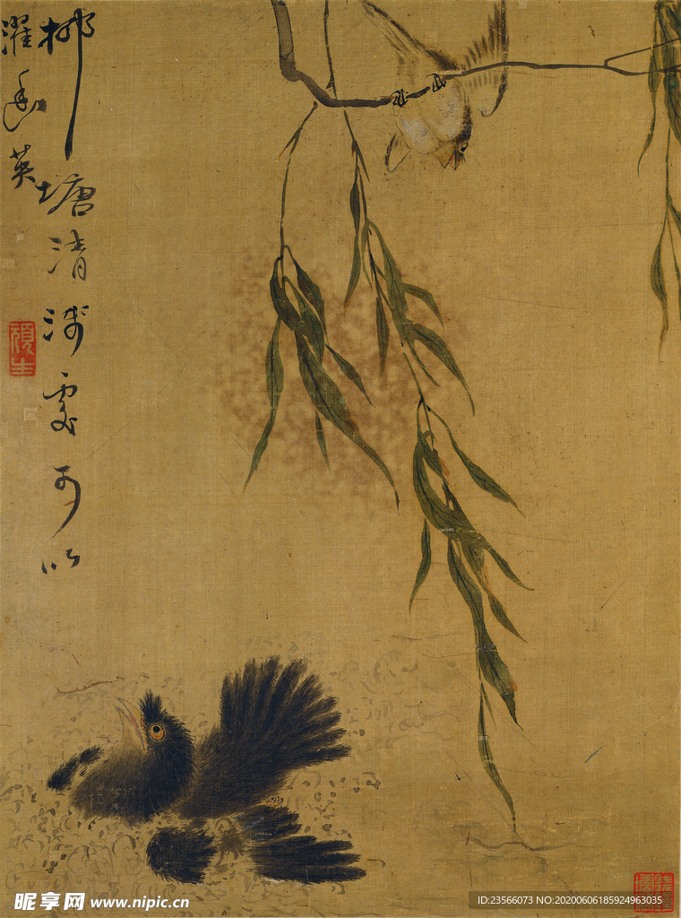 清代恽寿平花草绘画