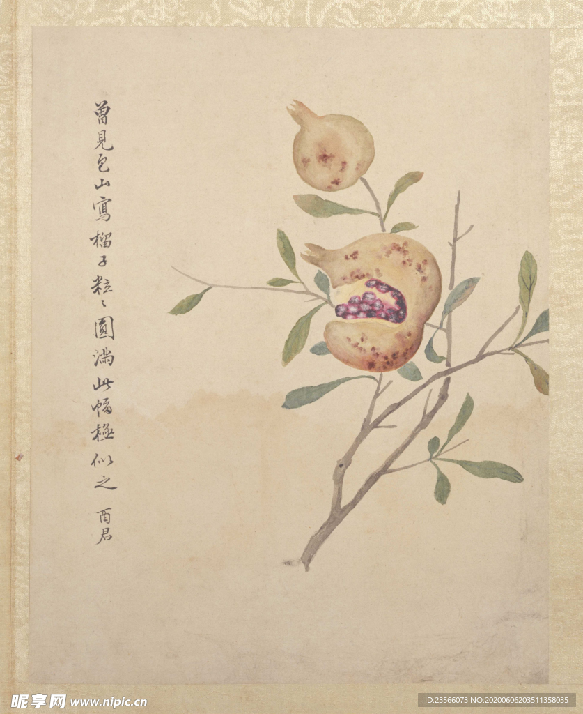 临蒋廷锡花卉花草绘画