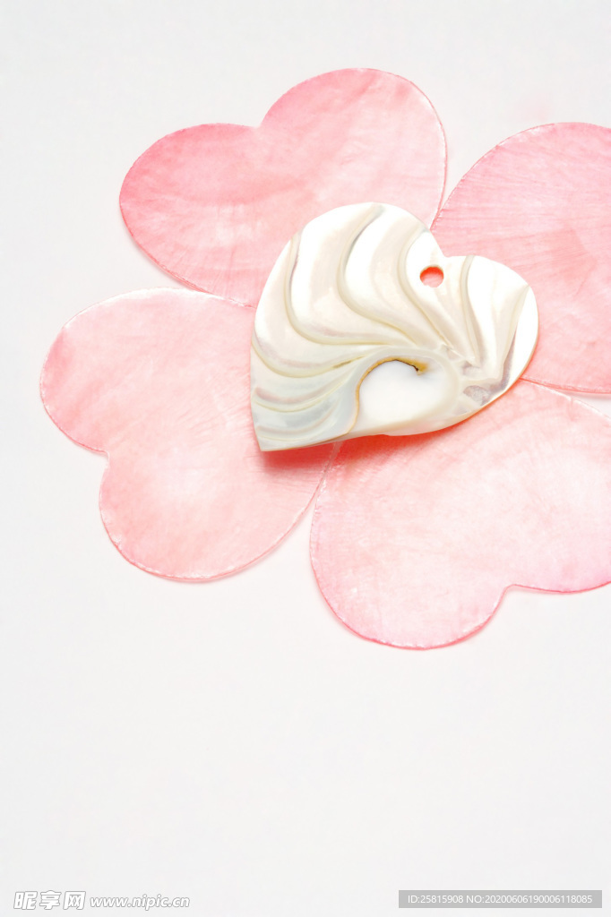 贝壳海螺唯美图片