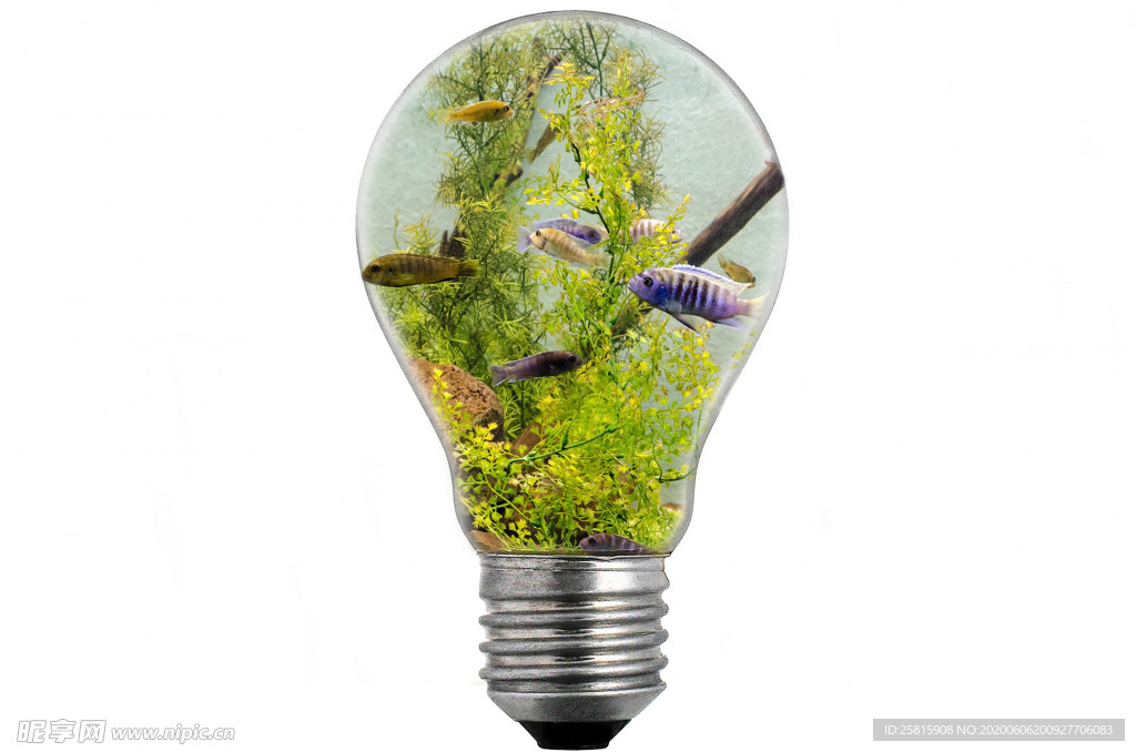 创意灯泡想法图片