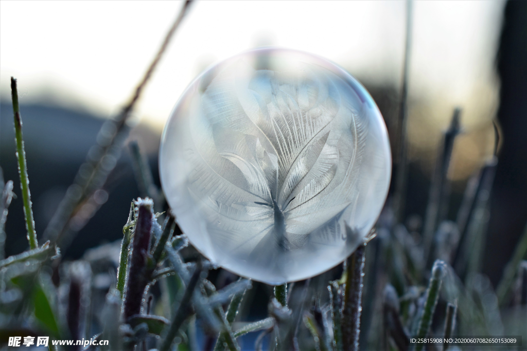 泡沫肥皂泡泡气泡图片