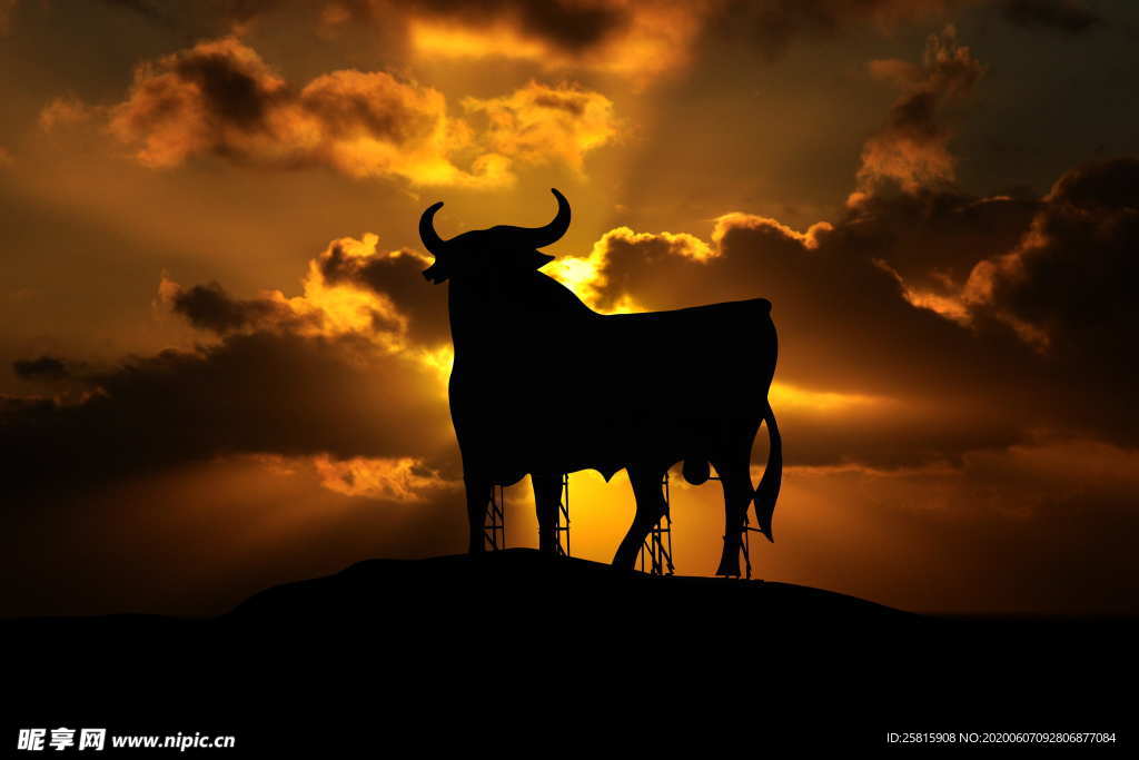 水牛奶牛肉牛黄牛红牛图片