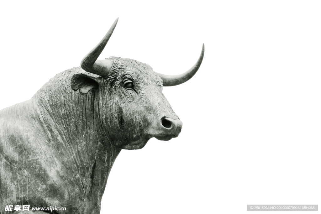 水牛奶牛肉牛黄牛红牛图片