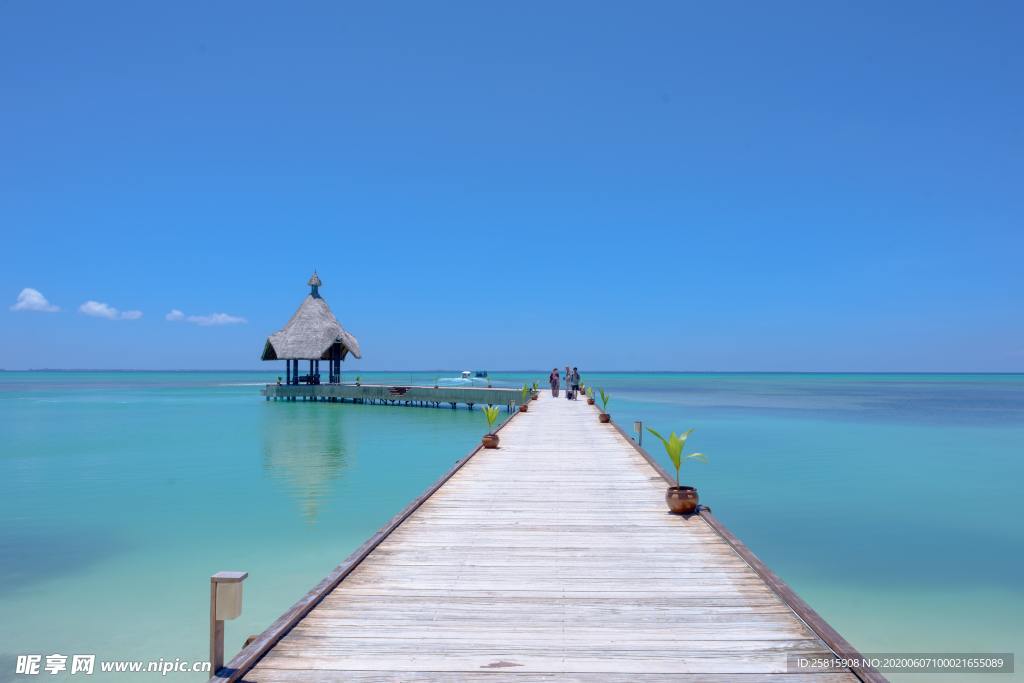 栈桥木质栈桥图片