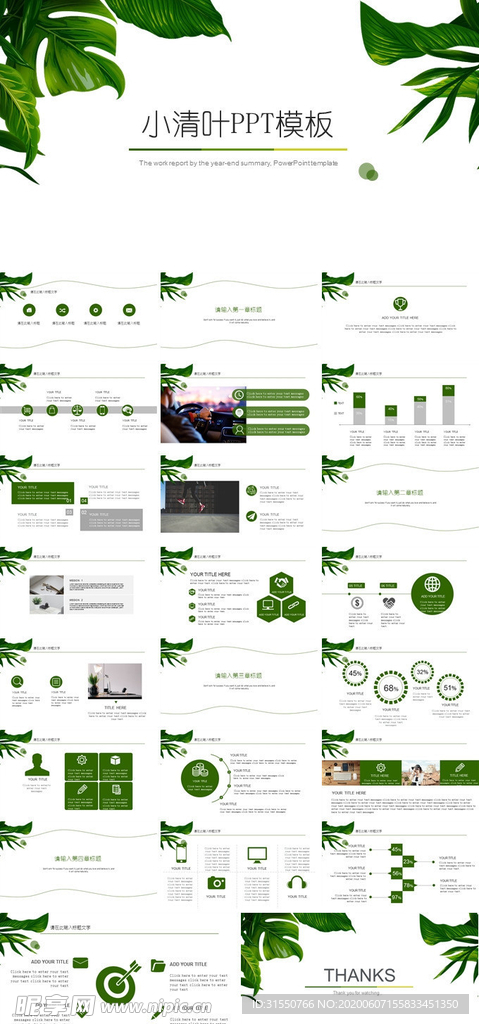 小清叶PPT模板