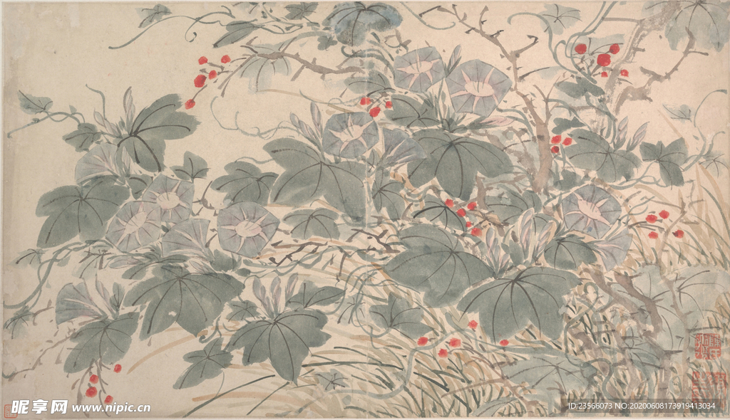 明代陈淳花卉花草绘画