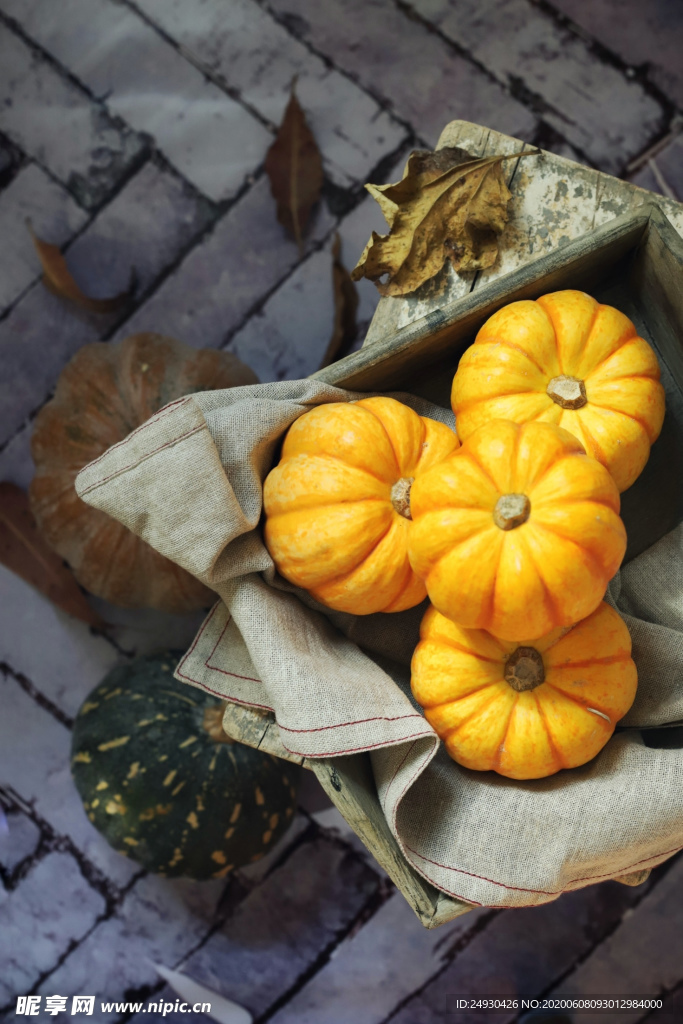 小南瓜 贝贝板栗南瓜