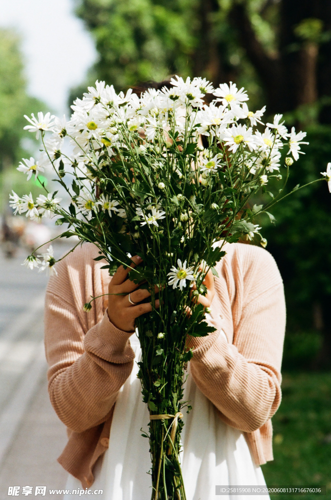 雏菊清新淡雅图片