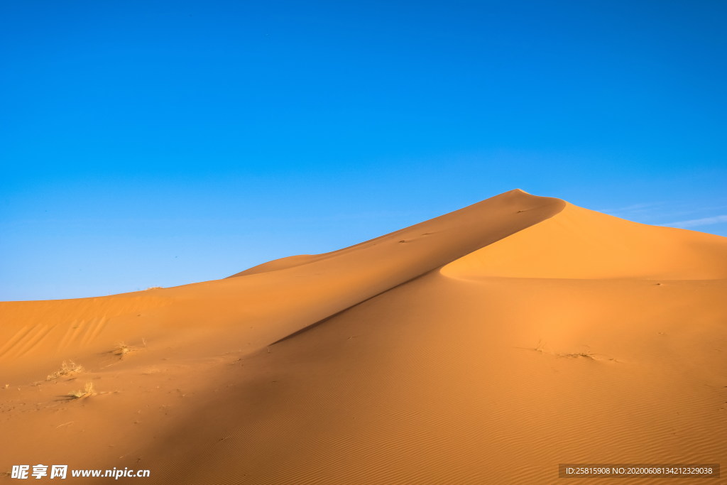 沙漠荒漠戈壁荒野图片