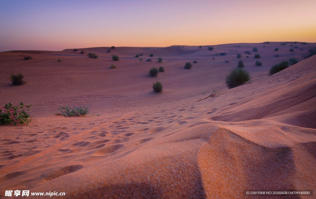沙漠荒漠戈壁荒野图片