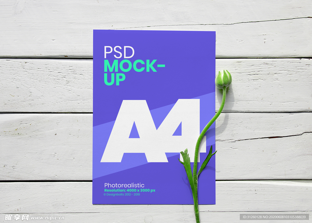 A4海报传单样机