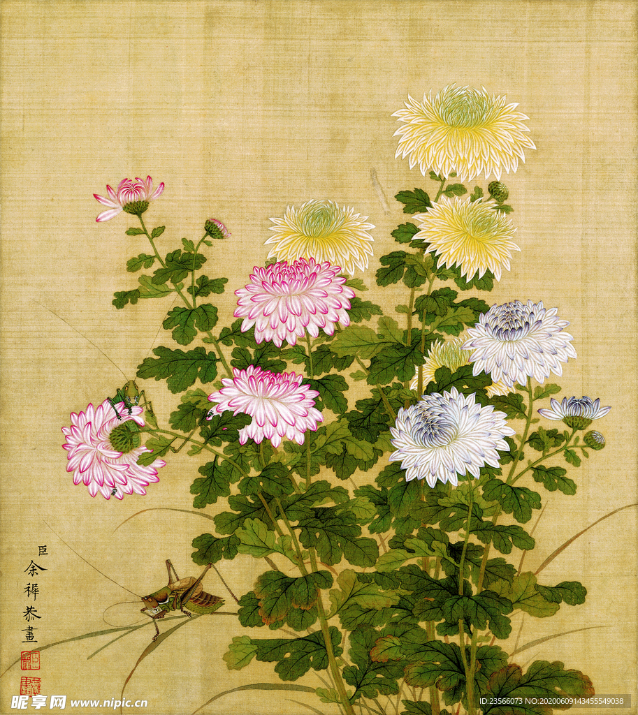中国风花鸟工笔画