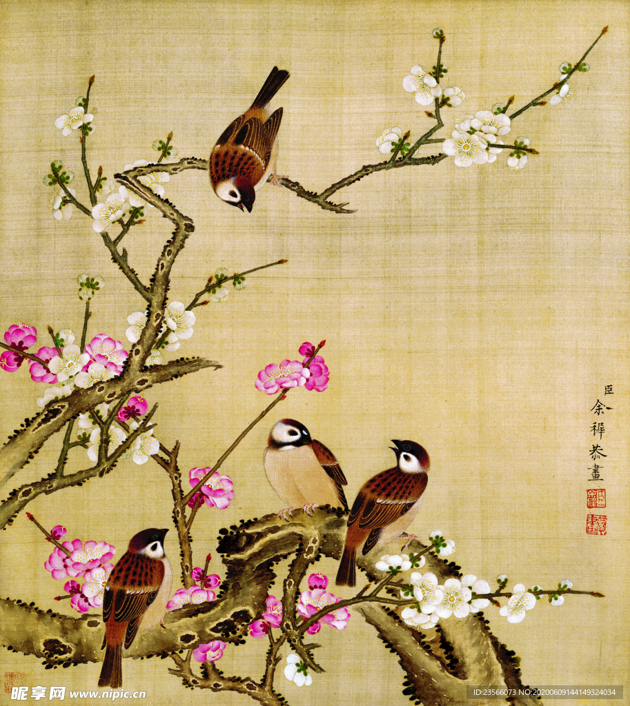 中国风花鸟工笔画