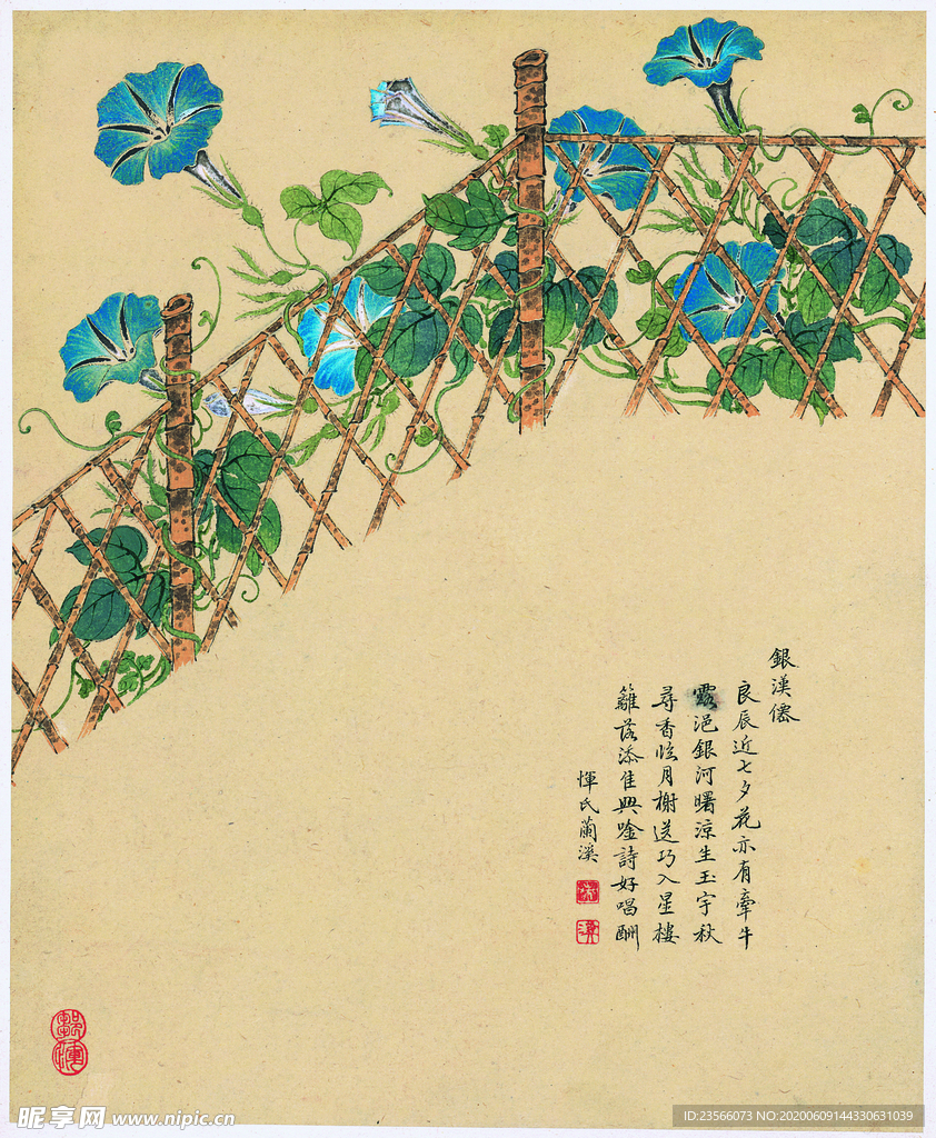中国风花鸟工笔画