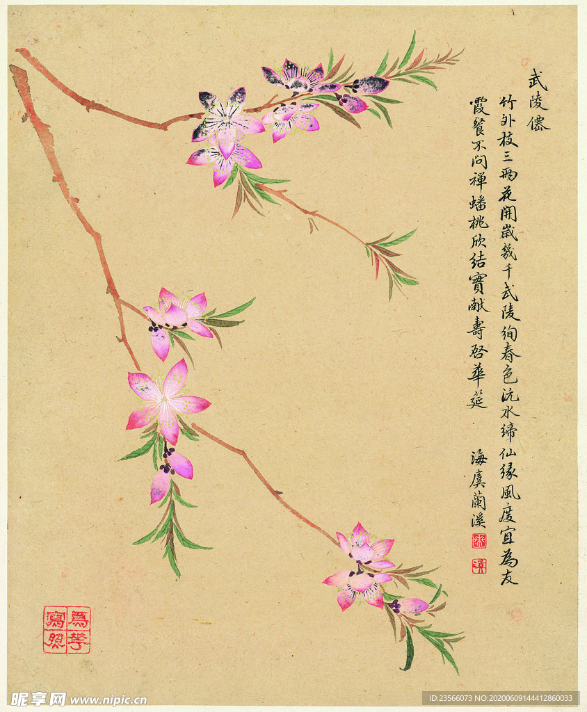 中国风花鸟工笔画