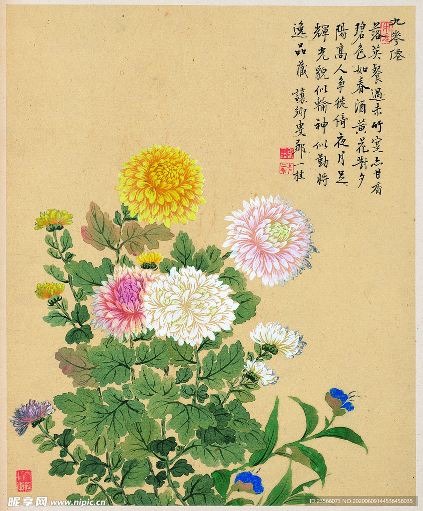 中国风花鸟工笔画