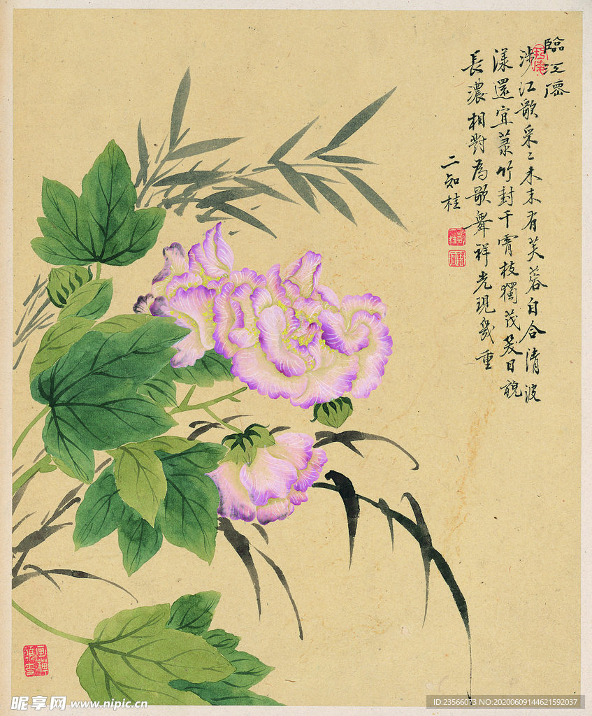 中国风花鸟工笔画