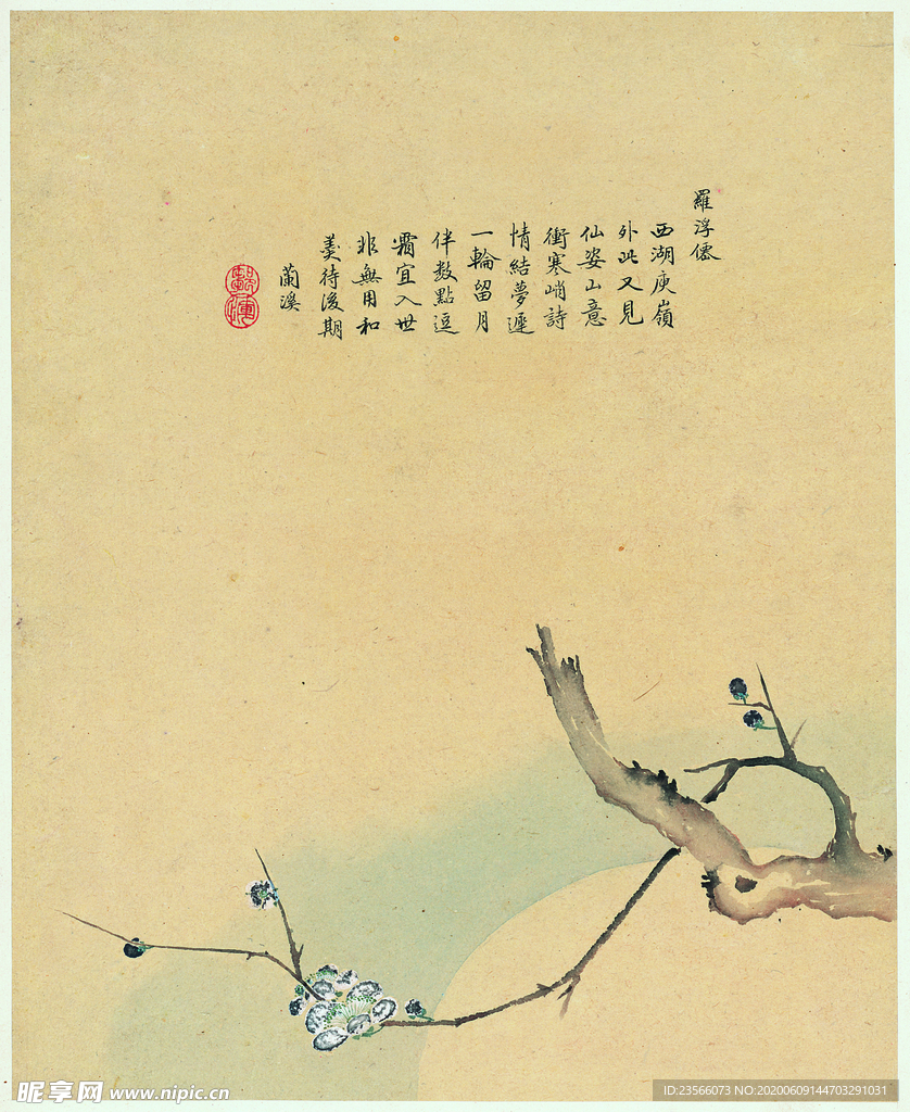 中国风花鸟工笔画