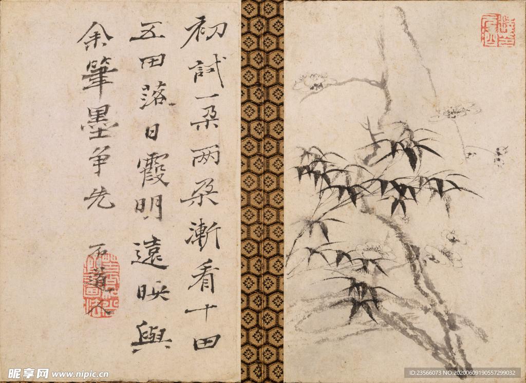 植物花鸟国画字画