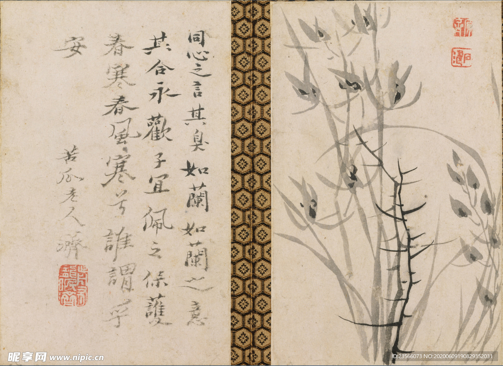 植物花鸟国画字画