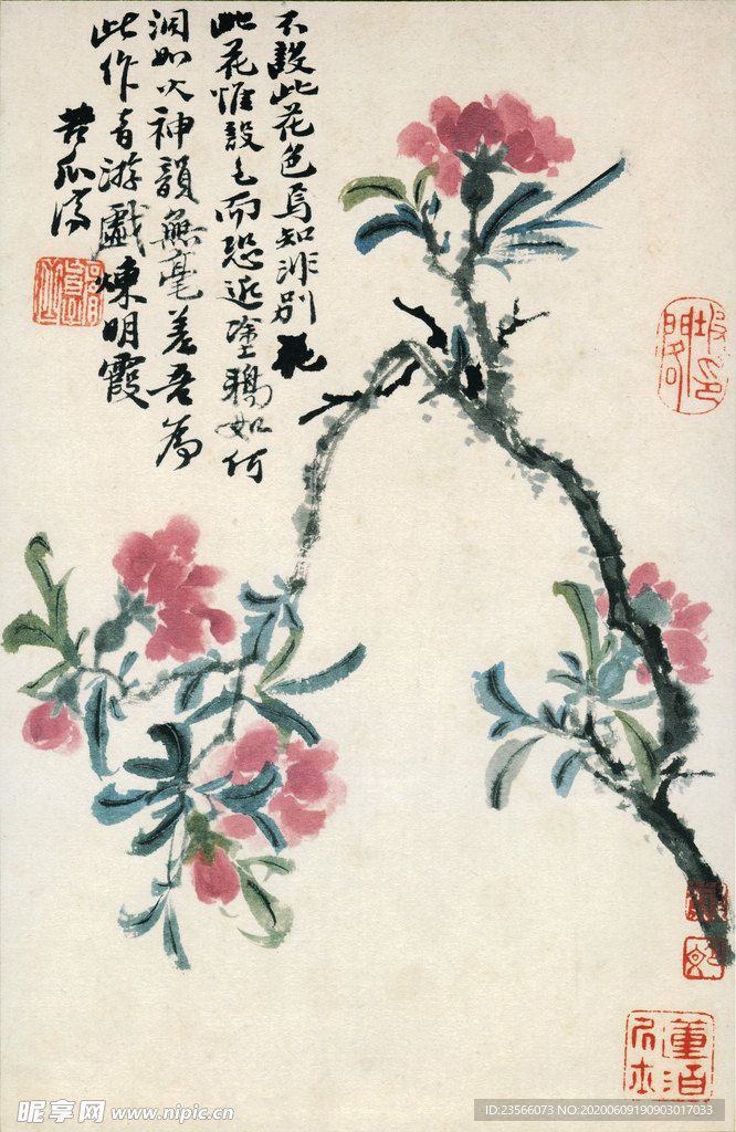 植物花鸟国画字画
