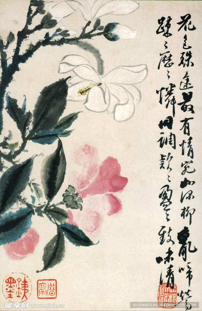 植物花鸟国画字画