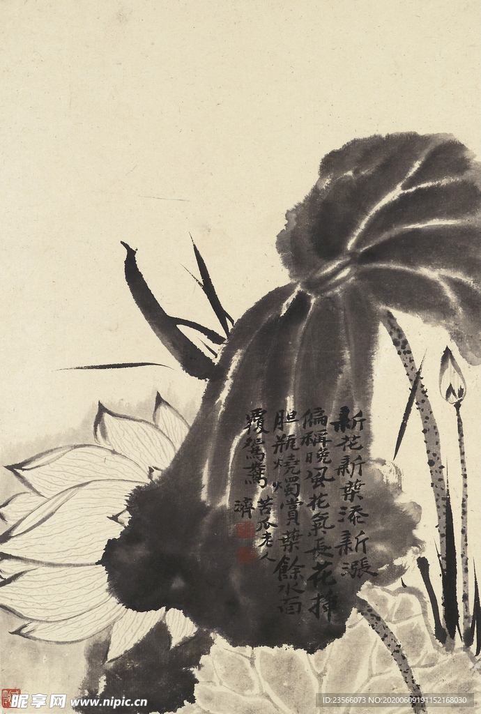 植物花鸟国画字画