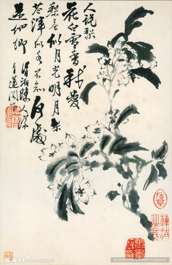 植物花鸟国画字画