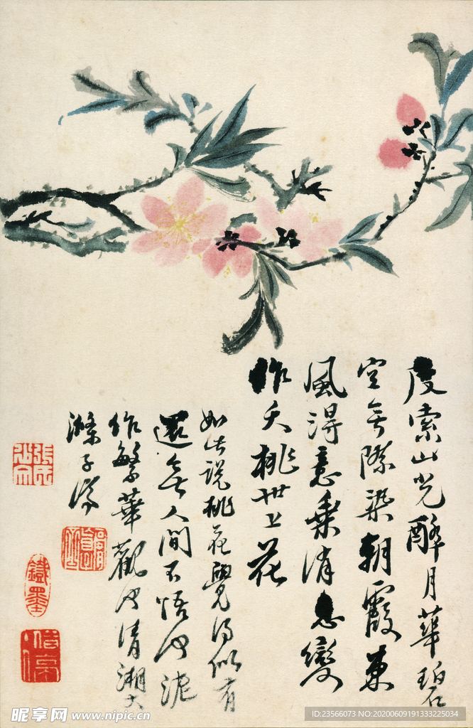 植物花鸟国画字画