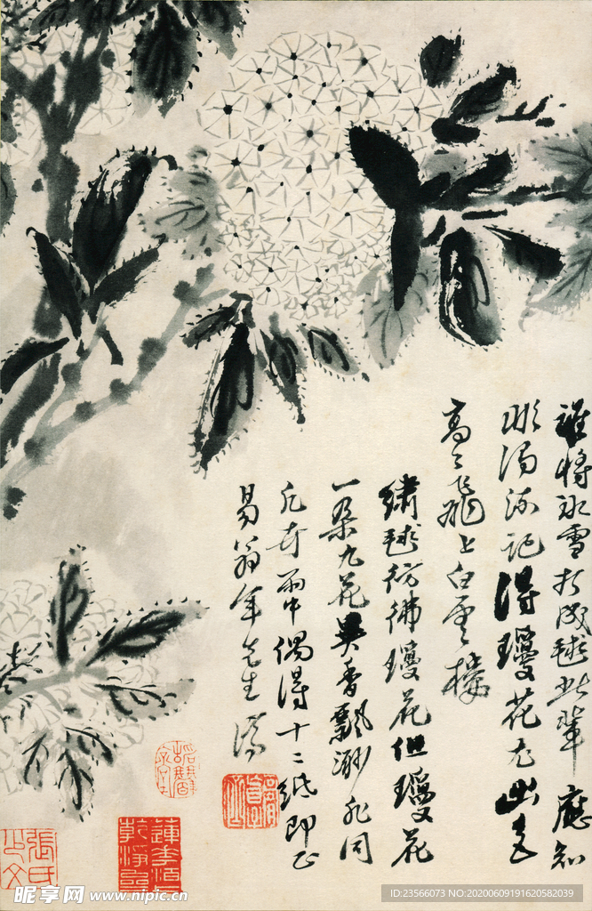 植物花鸟国画字画